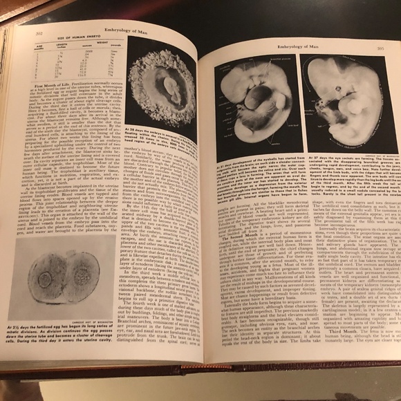 VTG 1964 Grolier The American Peoples Encyclopedia Vol. 7 Dyne-Fink~HC Book - Picture 10 of 12